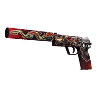USP-S | Kill Confirmed (Well-Worn)
