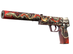USP-S | Kill Confirmed
