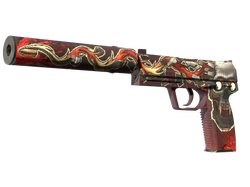 USP-S | Kill Confirmed