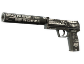 StatTrak™ USP-S | Ticket to Hell (Field-Tested)