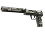 USP-S | Ticket to Hell