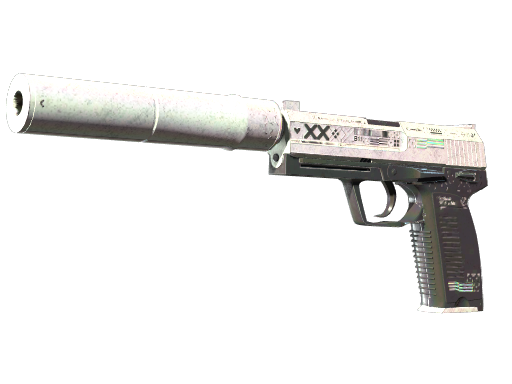 StatTrak™ USP-S | Printstream (Battle-Scarred)