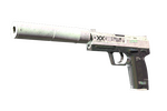 StatTrak™ USP-S | Printstream (Battle-Scarred)