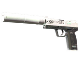 StatTrak™ USP-S | Поток информации (После полевых испытаний)