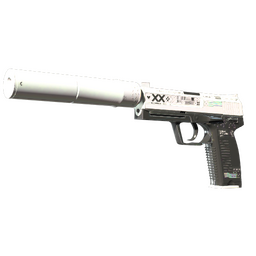 StatTrak™ USP-S | Printstream (Minimal Wear)