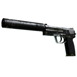 free csgo skin StatTrak™ USP-S | Torque (Battle-Scarred)