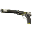USP-S | Torque (Field-Tested)