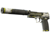 USP-S | Закрученный (После полевых испытаний)