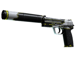 USP-S | Torque