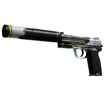 StatTrak™ USP-S | Torque