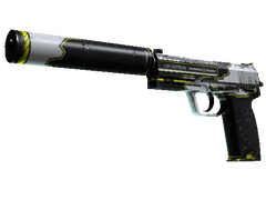 StatTrak™ USP-S | Torque