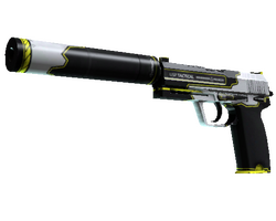 StatTrak USP-S | Torque