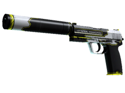 StatTrak USP-S | Torque