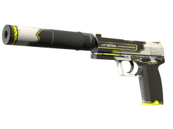 StatTrak USP-S | Torque