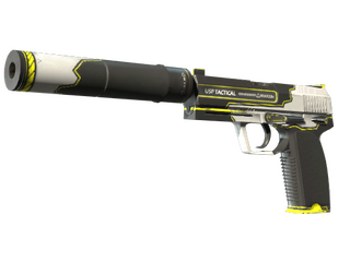 USP-S | Torque