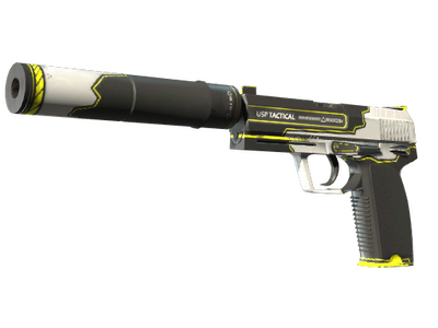StatTrak™ USP-S | Torque