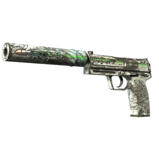 USP-S | Road Rash (Battle-Scarred)