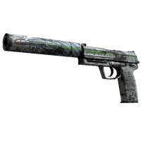USP-S | Road Rash (Battle-Scarred)