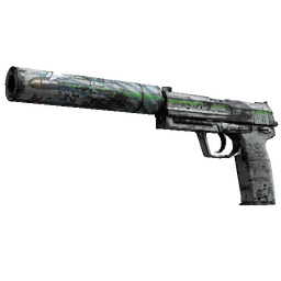 free csgo skin USP-S | Road Rash (Battle-Scarred)