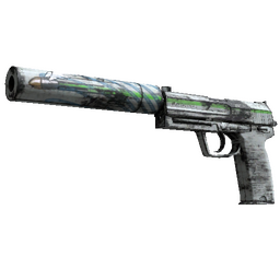 free cs2 skins Souvenir USP-S | Road Rash (Well-Worn)