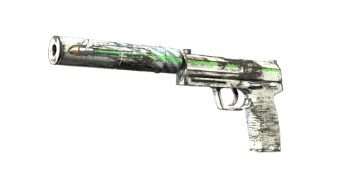 USP-S | Road Rash (Factory New)