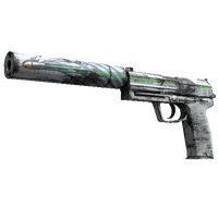 USP-S | Road Rash (Factory New)