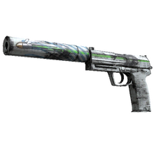 Souvenir USP-S | Road Rash (Minimal Wear)