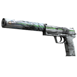 free csgo skin Souvenir USP-S | Road Rash (Factory New)