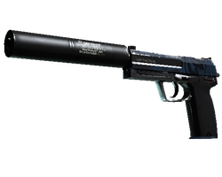 USP-S | Guardian