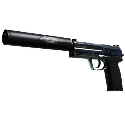 free csgo skin USP-S | Guardian (Field-Tested)