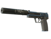 StatTrak™ USP-S | Страж (Немного поношенное)