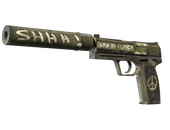 USP-S | Взгляд в прошлое (Поношенное)