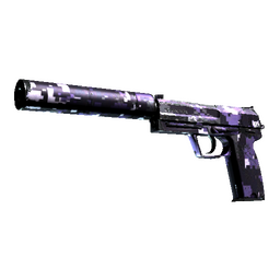 USP-S | Purple DDPAT (Well-Worn)