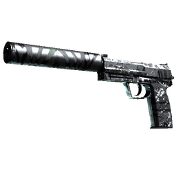 free csgo skin USP-S | Dark Water (Field-Tested)