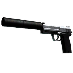 StatTrak™ USP-S | Stainless (Battle-Scarred)