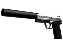 StatTrak USP-S | Stainless