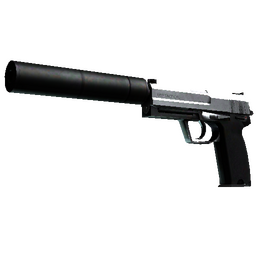 free csgo skin USP-S | Stainless (Field-Tested)