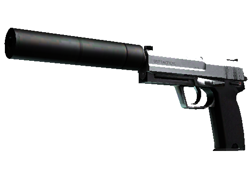 StatTrak™ USP-S | Stainless (Minimal Wear)