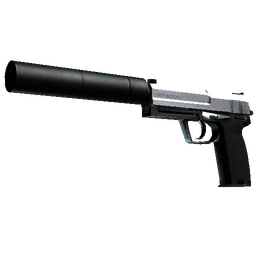 StatTrak™ USP-S | Stainless (Minimal Wear)