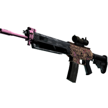 SG 553 | Desert Blossom (Minimal Wear)