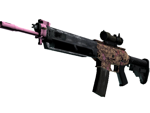 SG 553 | Desert Blossom (Field-Tested)