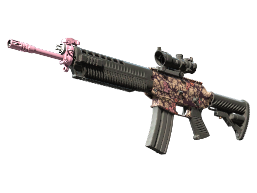 SG 553 | Desert Blossom (Battle-Scarred)