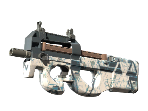 P90 | Schematic (Minimal Wear)