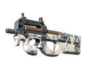 P90 | Schematic (Minimal Wear)