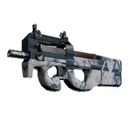 P90 | Schematic (Minimal Wear)