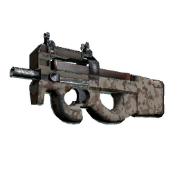 P90 | Desert DDPAT (Well-Worn)