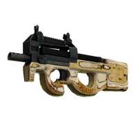 P90 | Shapewood (Well-Worn)