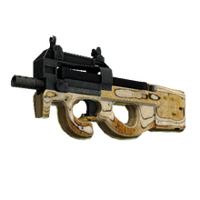 StatTrak™ P90 | Shapewood (Well-Worn)