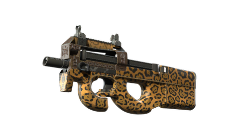 P90 | Run and Hide (Well-Worn)