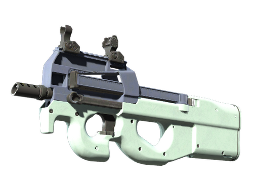 P90 (Souvenir) | Sturm